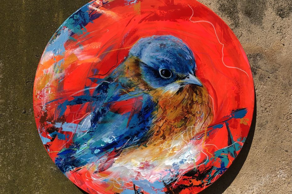 bluebird 80cm 2023