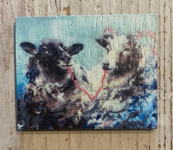 The Sheepish couple - magnet